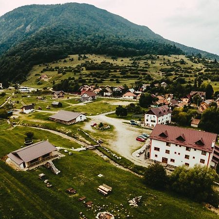 Pensiunea 3 Brazi Zărneşti Dış mekan fotoğraf