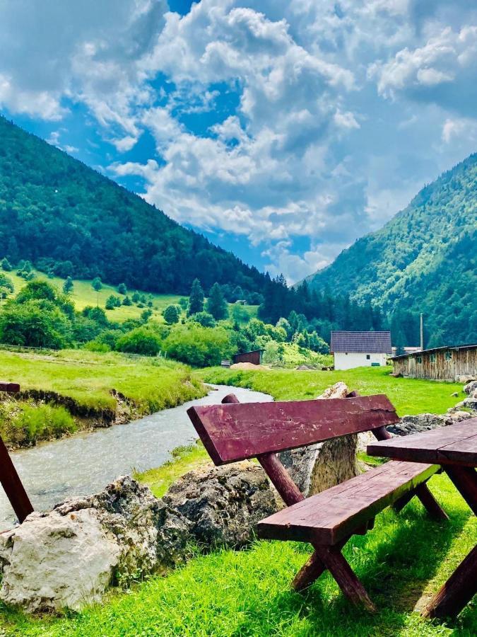 Pensiunea 3 Brazi Zărneşti Dış mekan fotoğraf