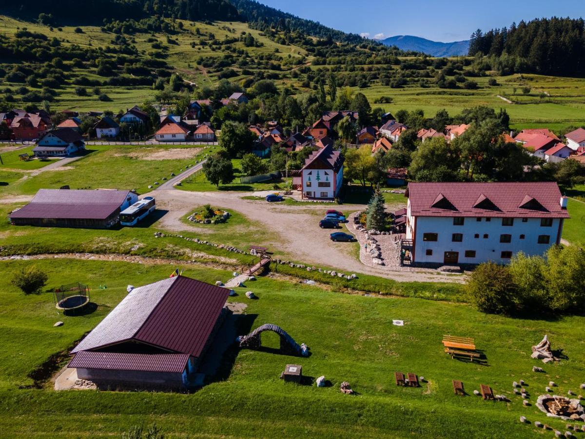 Pensiunea 3 Brazi Zărneşti Dış mekan fotoğraf