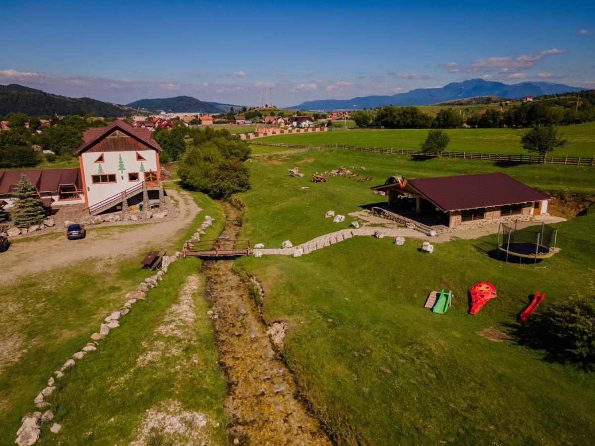 Pensiunea 3 Brazi Zărneşti Dış mekan fotoğraf