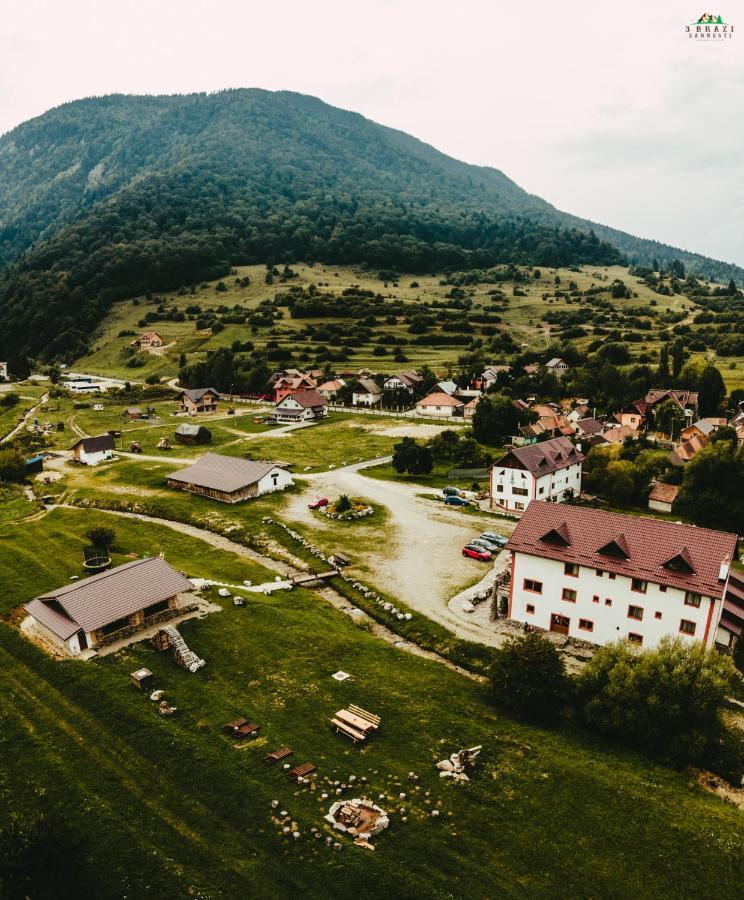 Pensiunea 3 Brazi Zărneşti Dış mekan fotoğraf