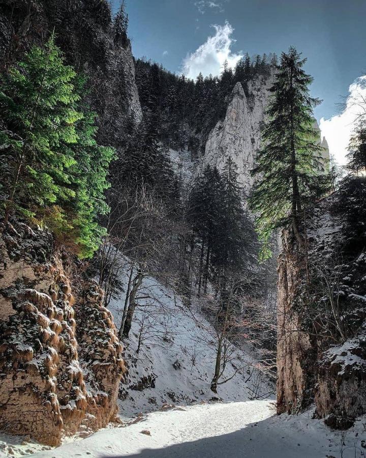 Pensiunea 3 Brazi Zărneşti Dış mekan fotoğraf