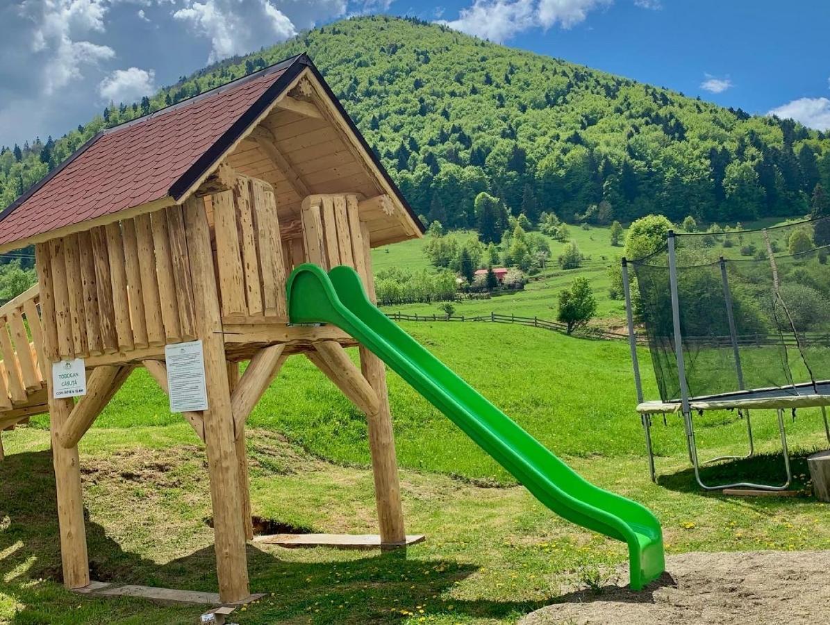 Pensiunea 3 Brazi Zărneşti Dış mekan fotoğraf