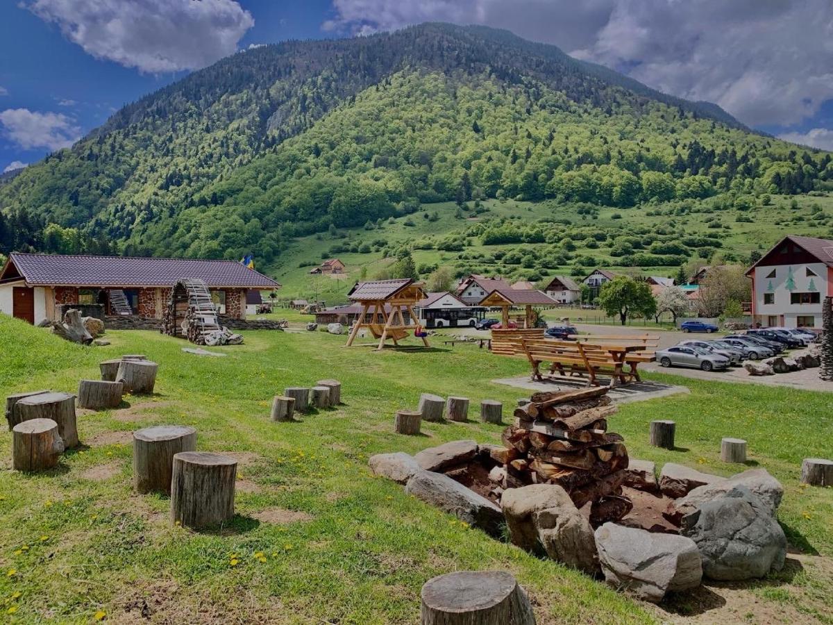 Pensiunea 3 Brazi Zărneşti Dış mekan fotoğraf