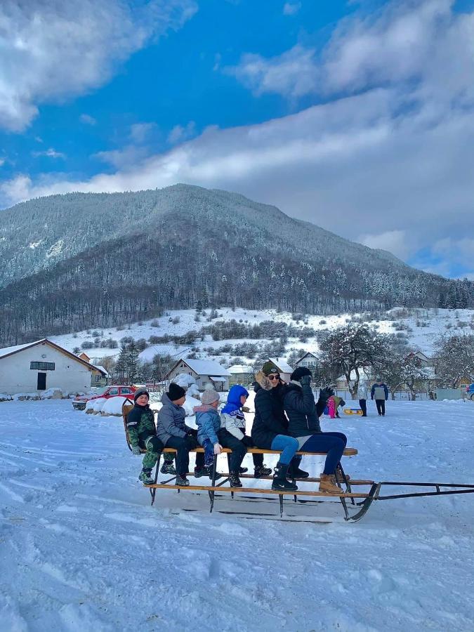 Pensiunea 3 Brazi Zărneşti Dış mekan fotoğraf