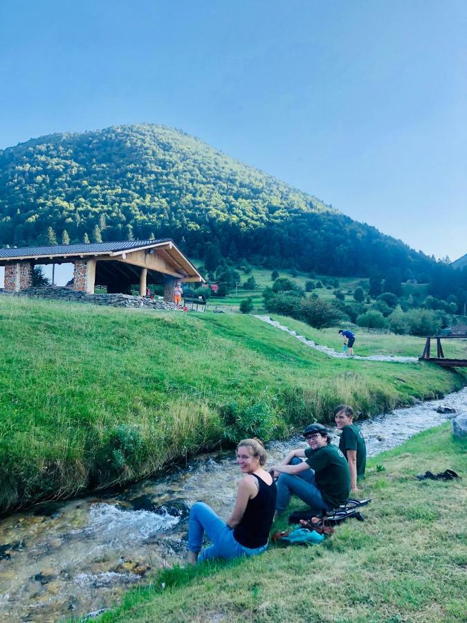 Pensiunea 3 Brazi Zărneşti Dış mekan fotoğraf
