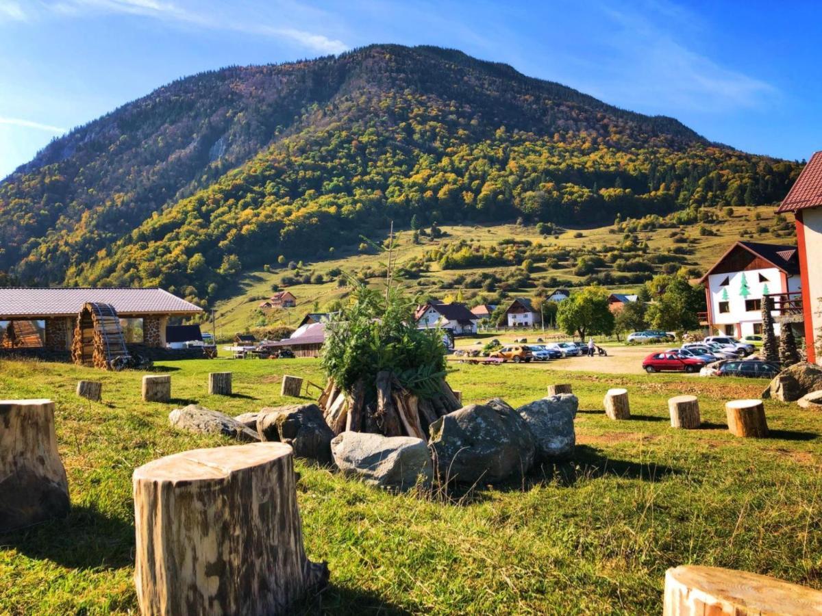 Pensiunea 3 Brazi Zărneşti Dış mekan fotoğraf