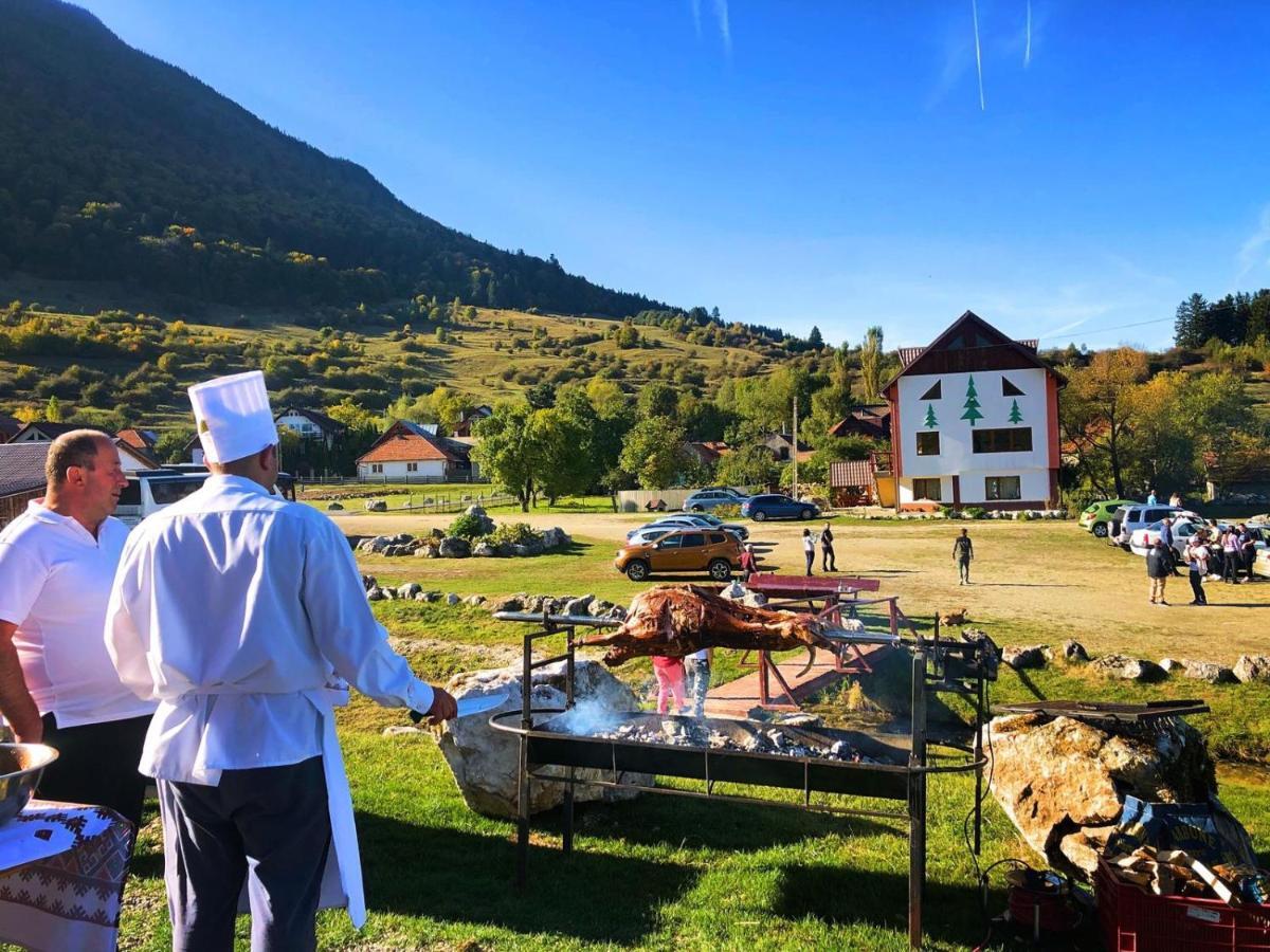 Pensiunea 3 Brazi Zărneşti Dış mekan fotoğraf