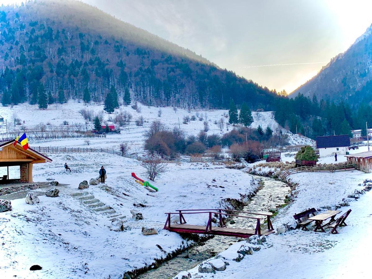 Pensiunea 3 Brazi Zărneşti Dış mekan fotoğraf